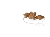 Royal Canin Aliment Sec Chien Mini Adult